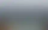 Blurred archive preview