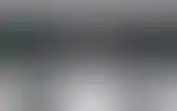 Blurred archive preview