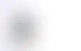 Blurred archive preview