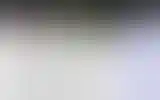 Blurred archive preview