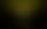 Blurred archive preview