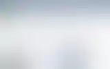 Blurred archive preview