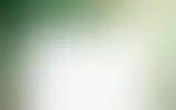 Blurred archive preview