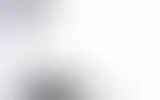 Blurred archive preview