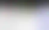 Blurred archive preview