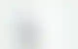 Blurred archive preview