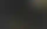 Blurred archive preview