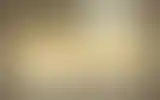 Blurred archive preview