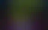 Blurred archive preview