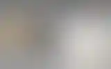 Blurred archive preview