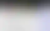 Blurred archive preview