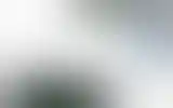 Blurred archive preview