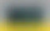 Blurred archive preview