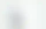 Blurred archive preview