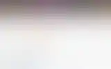 Blurred archive preview