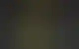 Blurred archive preview