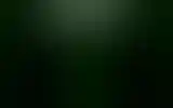 Blurred archive preview