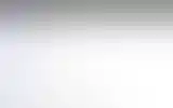 Blurred archive preview