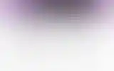 Blurred archive preview