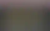 Blurred archive preview