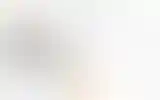 Blurred archive preview