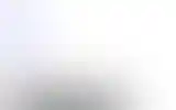 Blurred archive preview