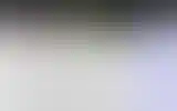 Blurred archive preview