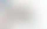 Blurred archive preview