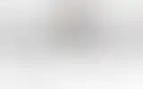 Blurred archive preview