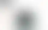 Blurred archive preview