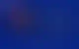 Blurred archive preview