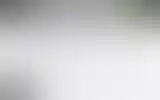 Blurred archive preview