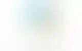 Blurred archive preview