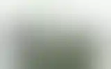 Blurred archive preview