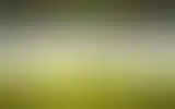 Blurred archive preview
