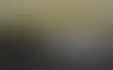 Blurred archive preview