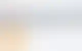 Blurred archive preview