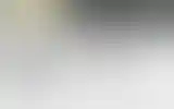 Blurred archive preview
