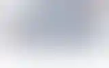 Blurred archive preview
