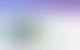 Blurred archive preview
