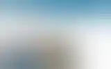 Blurred archive preview