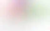 Blurred archive preview