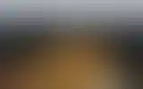 Blurred archive preview