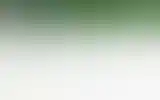 Blurred archive preview