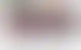 Blurred archive preview