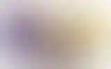 Blurred archive preview