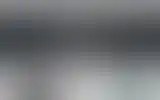 Blurred archive preview