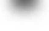 Blurred archive preview