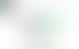 Blurred archive preview