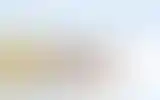 Blurred archive preview